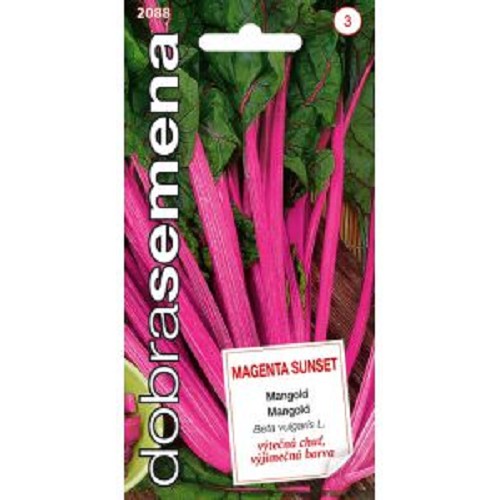 Mangold DS Magenta sunset