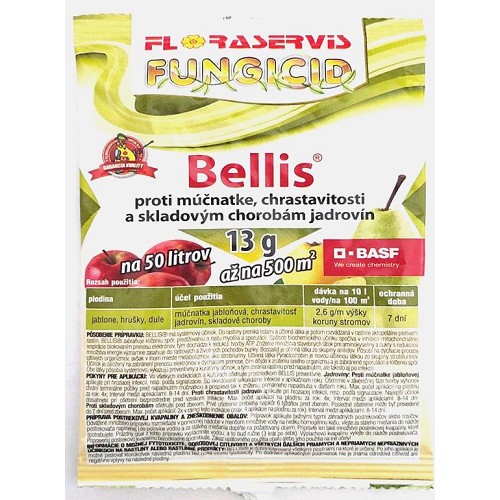 Bellis 13g