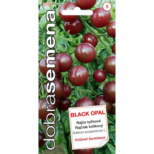 Rajčiak DS kolíkový Black Opal