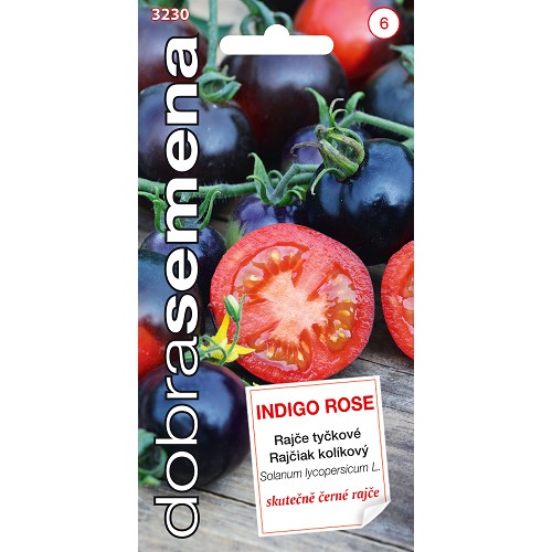 Rajčiak DS kolíkový Indigo Rose