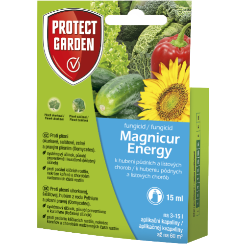 Magnicur Energy 15ml