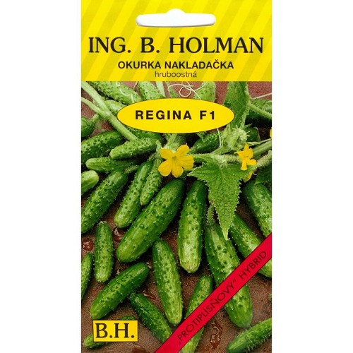 Uhorky nakl.Regina F1 2.5g